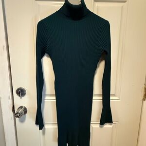Express Teal Long Sleeve Turtleneck Dress